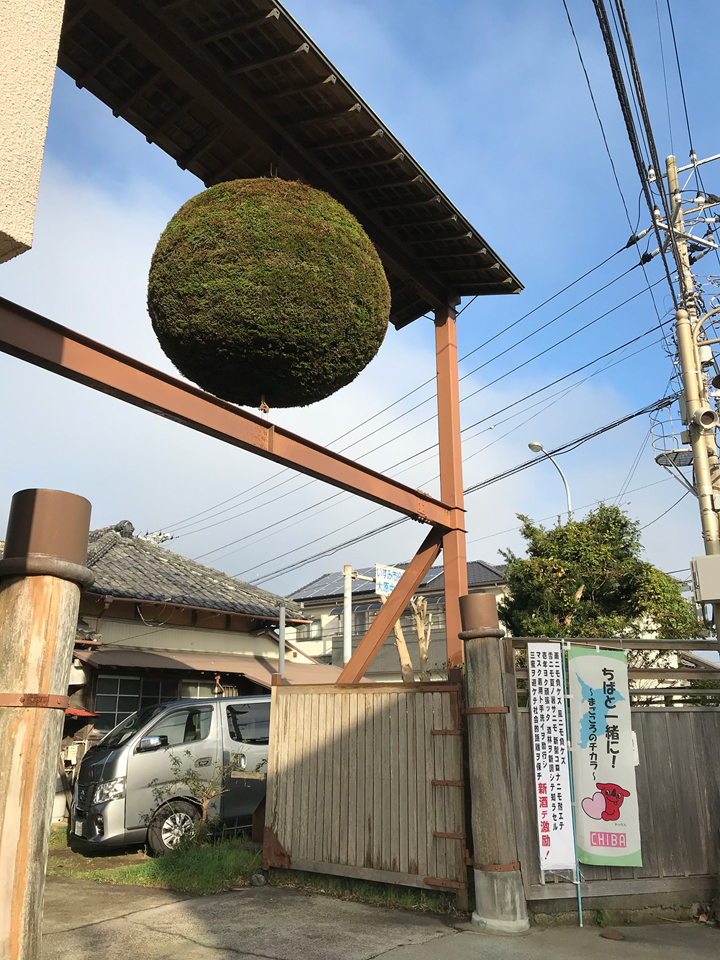 2020sakabayashi