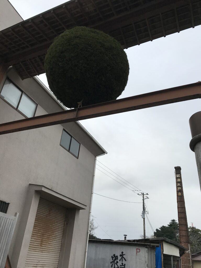 Big Sakabayashi 2025BY