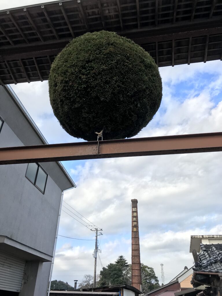 Big Sakabayashi 2025BY at the main gate