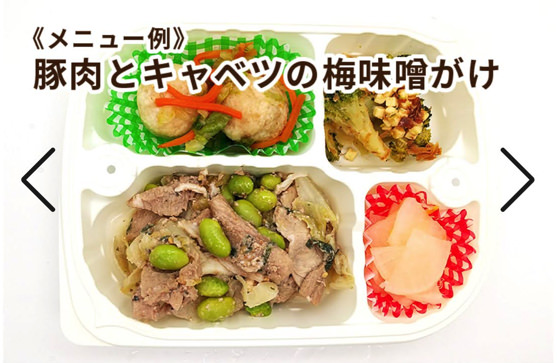 メディミール  お弁当例